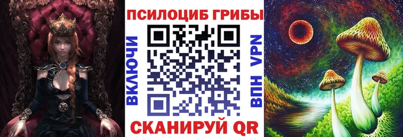 наркота  Новое Девяткино  Галлюциногенные грибы мицелий 